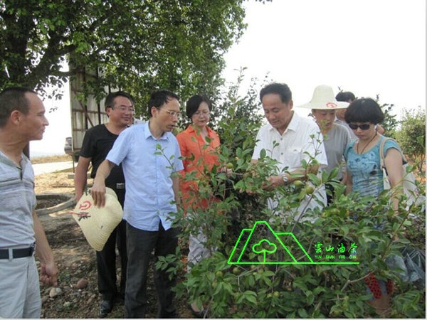 江西省油茶辦主任、工程師孫勇、省科技廳農(nóng)村工作處副處長(zhǎng)、副調(diào)研員尹伊等基地指導(dǎo)工作