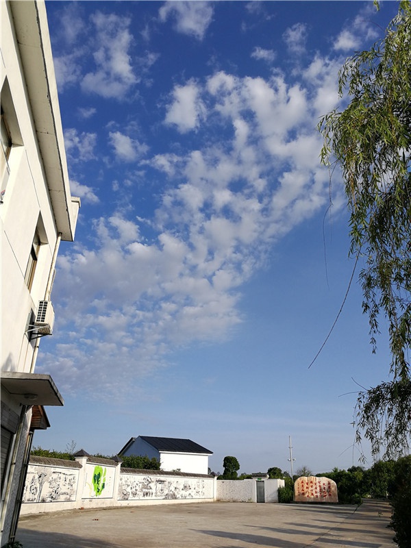 基地景觀(guān)