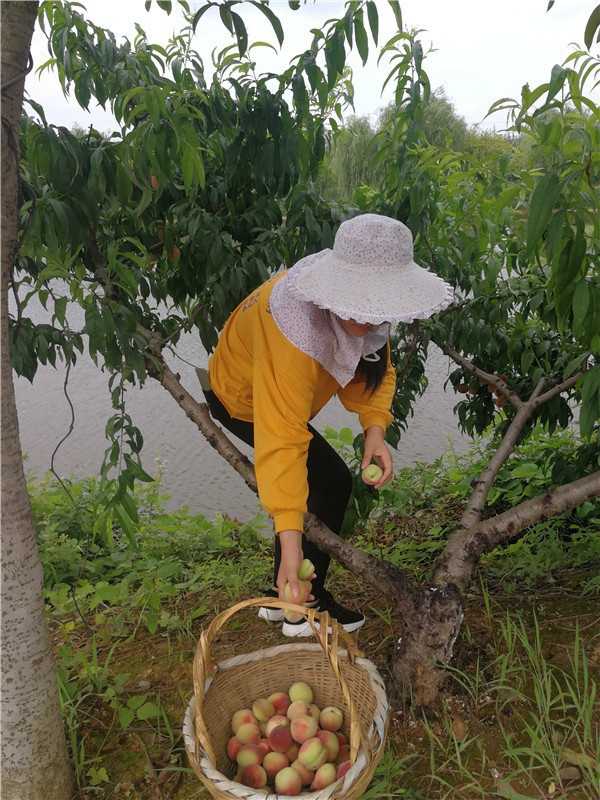 基地景觀(guān)