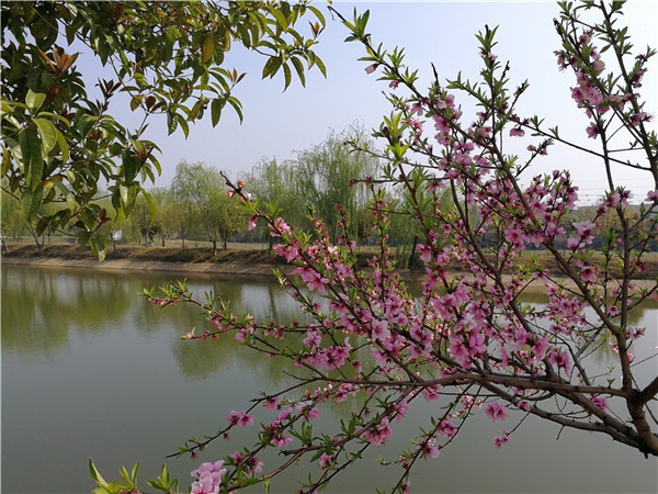 基地景觀(guān)